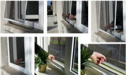 POLISH FIRMS